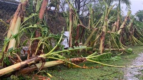 After Typhoon Mawar battered Guam, ‘what used to be a jungle looks like toothpicks’